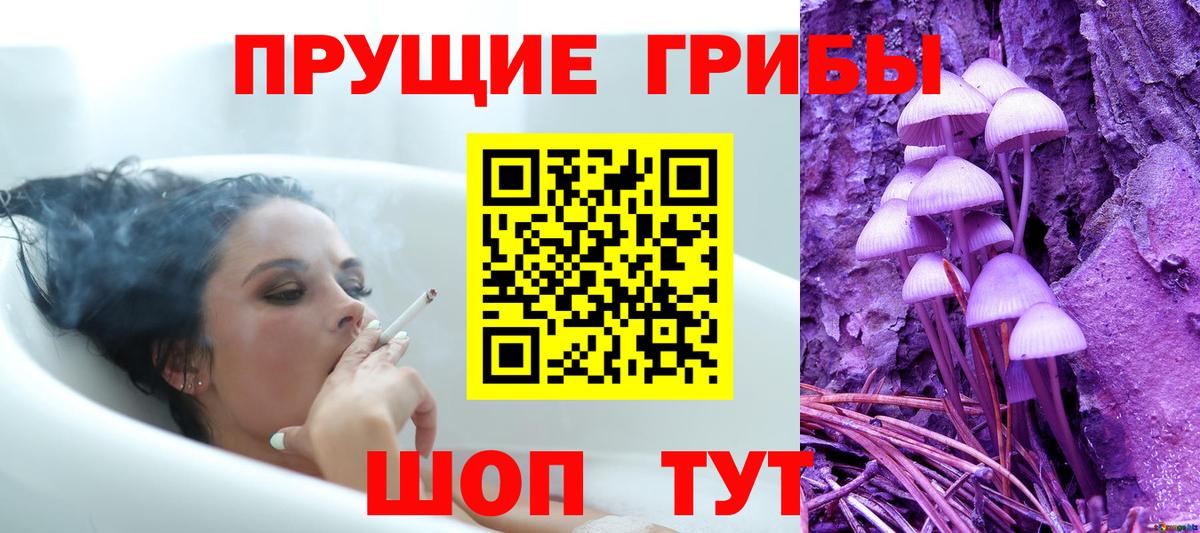 Гулькевичи  Псилоцибиновые грибы мицелий  где найти   Вход с VPN 