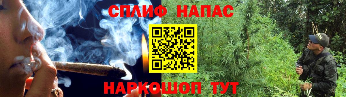 Бошки Шишки план Гулькевичи