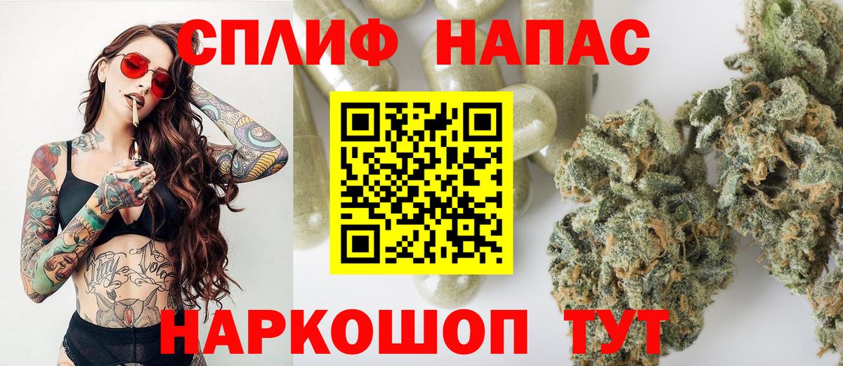 Бошки Шишки Гулькевичи